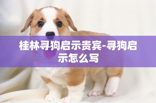 桂林尋狗啟示貴賓-尋狗啟示怎么寫