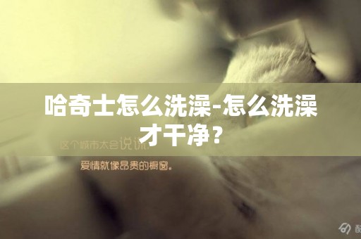 哈奇士怎么洗澡-怎么洗澡才干凈？