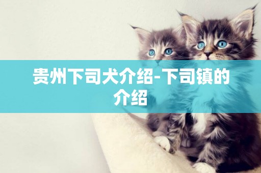 貴州下司犬介紹-下司鎮的介紹
