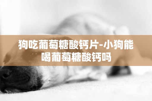 狗吃葡萄糖酸鈣片-小狗能喝葡萄糖酸鈣嗎