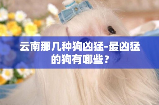 云南那幾種狗兇猛-最兇猛的狗有哪些？