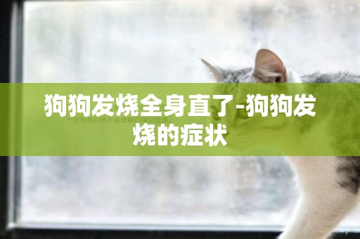 狗狗發燒全身直了-狗狗發燒的癥狀