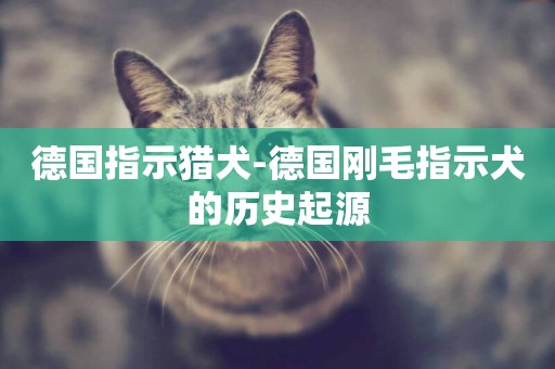 德國指示獵犬-德國剛毛指示犬的歷史起源