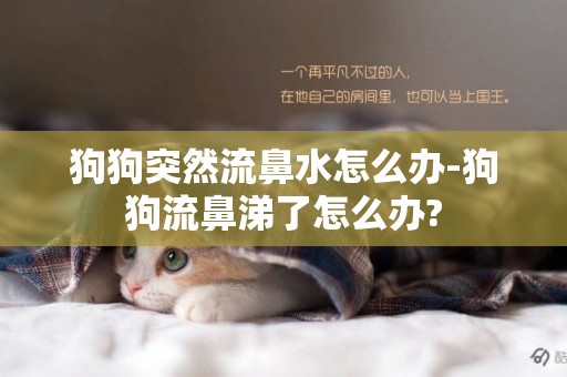 狗狗突然流鼻水怎么辦-狗狗流鼻涕了怎么辦?