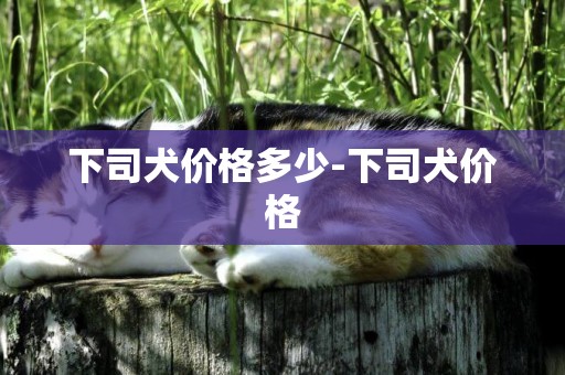 下司犬價格多少-下司犬價格