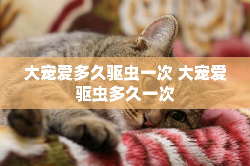 大寵愛多久驅蟲一次 大寵愛驅蟲多久一次