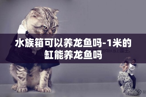 水族箱可以養龍魚嗎-1米的缸能養龍魚嗎