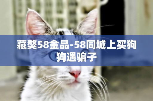 藏獒58金品-58同城上買狗狗遇騙子