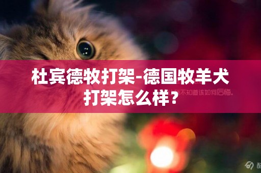 杜賓德牧打架-德國牧羊犬打架怎么樣？