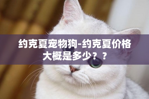 約克夏寵物狗-約克夏價格大概是多少？？