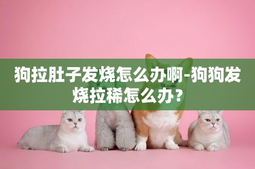 狗拉肚子發燒怎么辦啊-狗狗發燒拉稀怎么辦？