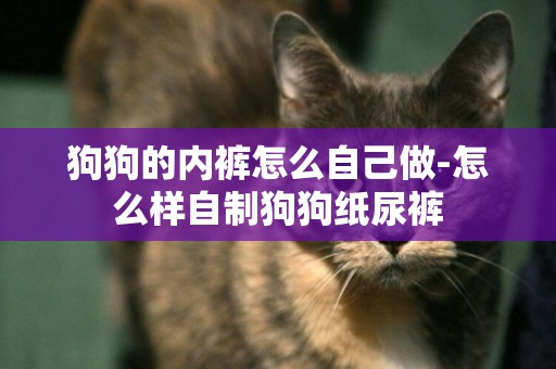 狗狗的內褲怎么自己做-怎么樣自制狗狗紙尿褲