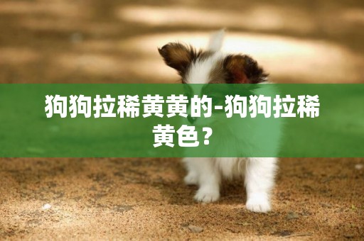 狗狗拉稀黃黃的-狗狗拉稀黃色？