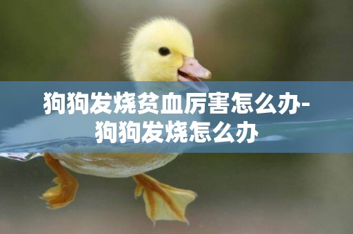 狗狗發燒貧血厲害怎么辦-狗狗發燒怎么辦