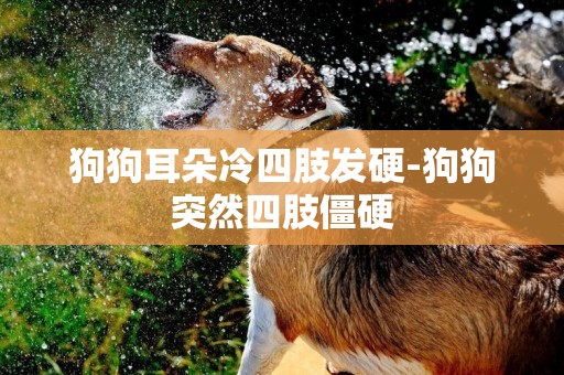 狗狗耳朵冷四肢發硬-狗狗突然四肢僵硬