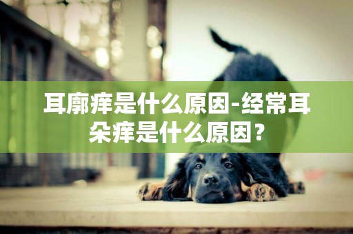 耳廓癢是什么原因-經常耳朵癢是什么原因？