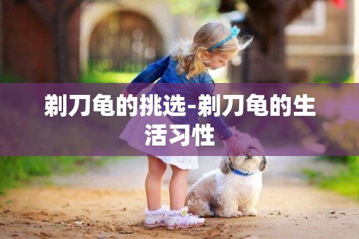 剃刀龜的挑選-剃刀龜的生活習性