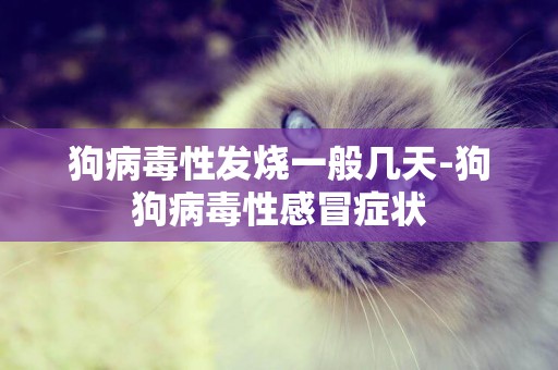 狗病毒性發燒一般幾天-狗狗病毒性感冒癥狀