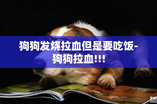 狗狗發燒拉血但是要吃飯-狗狗拉血!!!