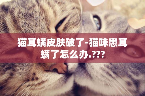 貓耳螨皮膚破了-貓咪患耳螨了怎么辦.???
