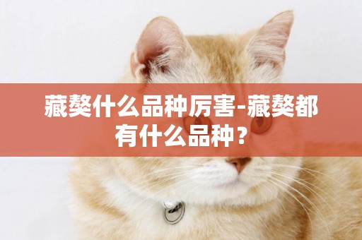 藏獒什么品種厲害-藏獒都有什么品種？