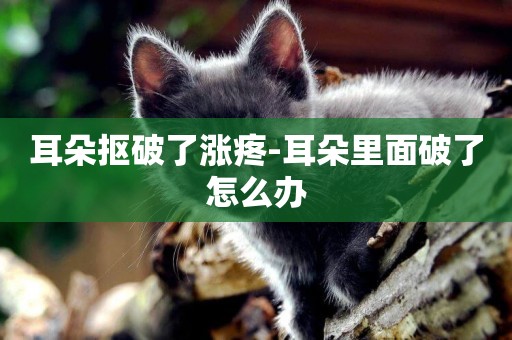 耳朵摳破了漲疼-耳朵里面破了怎么辦