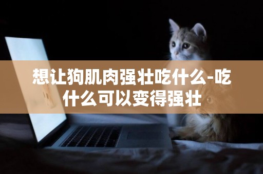 想讓狗肌肉強壯吃什么-吃什么可以變得強壯