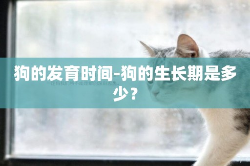 狗的發育時間-狗的生長期是多少？