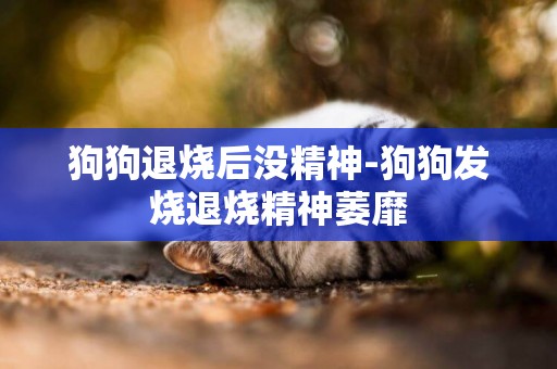 狗狗退燒后沒精神-狗狗發燒退燒精神萎靡