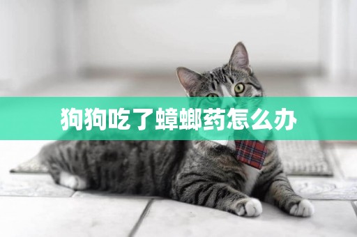 狗狗吃了蟑螂藥怎么辦