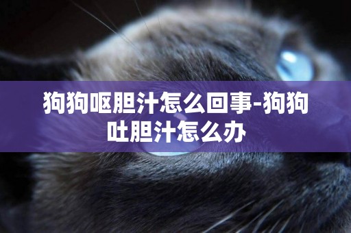 狗狗嘔膽汁怎么回事-狗狗吐膽汁怎么辦