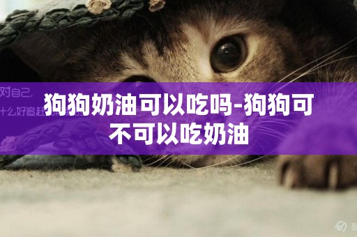 狗狗奶油可以吃嗎-狗狗可不可以吃奶油