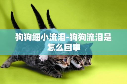 狗狗細小流淚-狗狗流淚是怎么回事