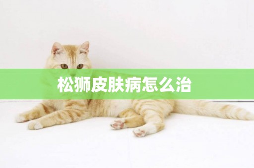 松獅皮膚病怎么治 