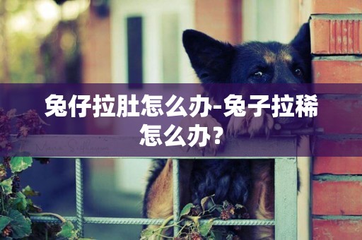 兔仔拉肚怎么辦-兔子拉稀怎么辦？