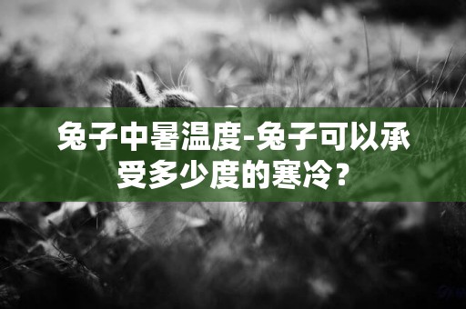 兔子中暑溫度-兔子可以承受多少度的寒冷？