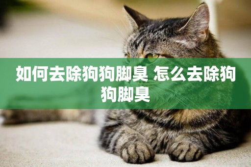 如何去除狗狗腳臭 怎么去除狗狗腳臭