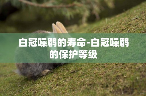 白冠噪鹛的壽命-白冠噪鹛的保護等級