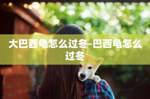 大巴西龜怎么過冬-巴西龜怎么過冬