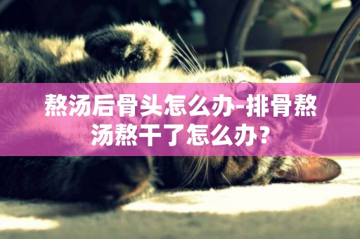 熬湯后骨頭怎么辦-排骨熬湯熬干了怎么辦？
