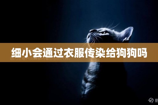 細小會通過衣服傳染給狗狗嗎
