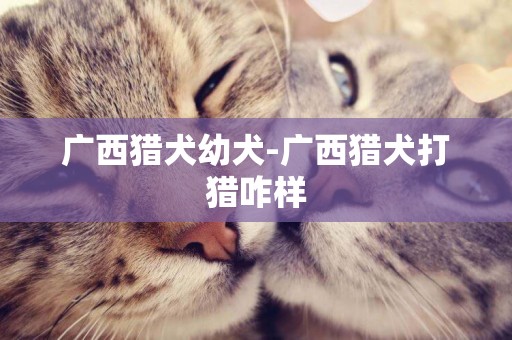 廣西獵犬幼犬-廣西獵犬打獵咋樣