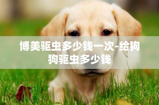 博美驅蟲多少錢一次-給狗狗驅蟲多少錢