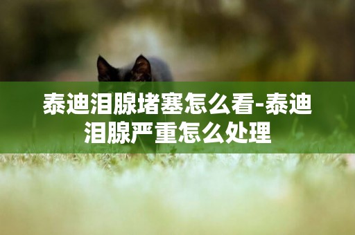 泰迪淚腺堵塞怎么看-泰迪淚腺嚴重怎么處理