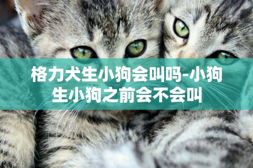 格力犬生小狗會叫嗎-小狗生小狗之前會不會叫