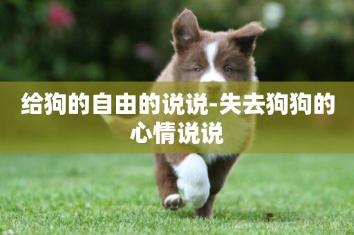 給狗的自由的說說-失去狗狗的心情說說