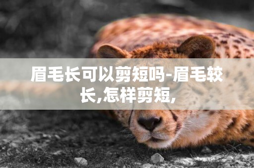 眉毛長可以剪短嗎-眉毛較長,怎樣剪短,