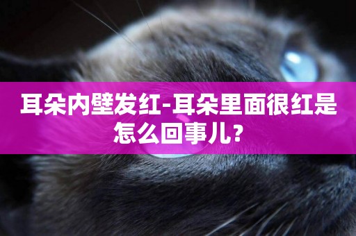 耳朵內壁發紅-耳朵里面很紅是怎么回事兒？