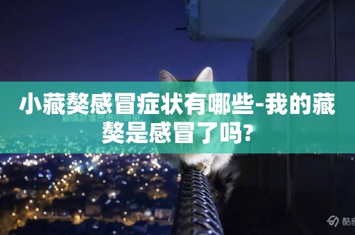 小藏獒感冒癥狀有哪些-我的藏獒是感冒了嗎?