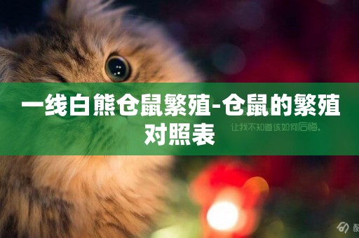 一線白熊倉鼠繁殖-倉鼠的繁殖對照表
